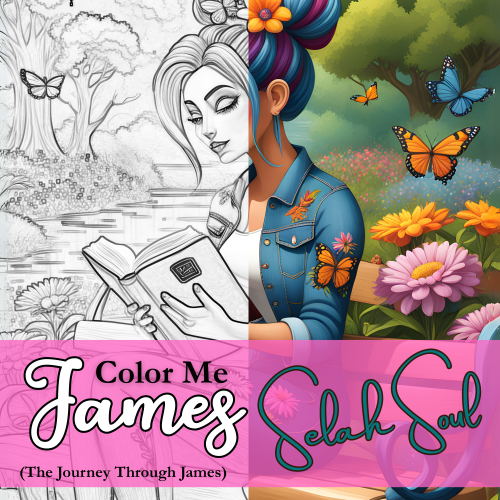 Color Me James (The Journey Through James) by Selah Soul